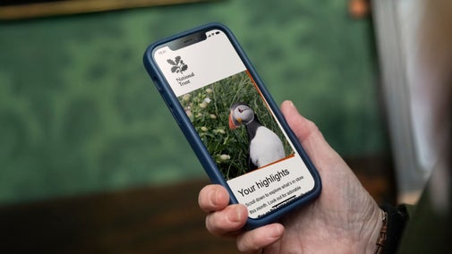 Email open on a smartphone in someone's hand